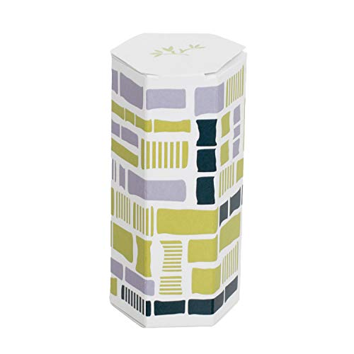 トランパラン ポチ袋 おみくじができるポチ袋 お年玉袋 ポチみくじ お年玉 お小遣い 日本製 (竹)