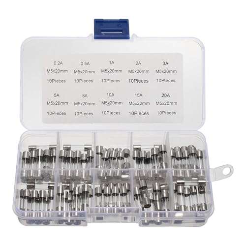 100 unidades Kit de fusibles de tubo de vidrio variados Amp 0.2A-20A Acción rápida 250V Pack surtido con caja de almacenamiento miniatura 1
