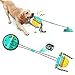 Hundespielzeug mit Vakuum Saugnapf,Hundespielzeug Unzerstörbar Kauspielzeug,Snackball/Hundeball mit Multifunktionales Zähneknirschen,Interaktives Spielzeug Geeignet für Mittelgroße und Große Hunde