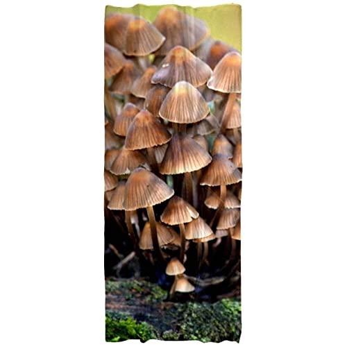 Châle enveloppant de champignons sauvages frais et écharpe femme premium