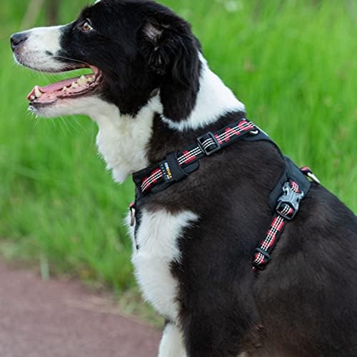 Truelove Explosion-Proof Waterproof Fabric Dog Harness High Density Nylon Webbing Light-Weight Outdoor Product Suitable Small and Medium Large Dog TLH6282(Army Green, L)