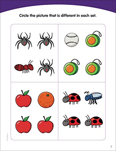 Little Skill Seekers: Basic Concepts #TOP4
