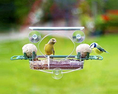 Top 10 Window Bird Feeders Of 2020 Best Reviews Guide