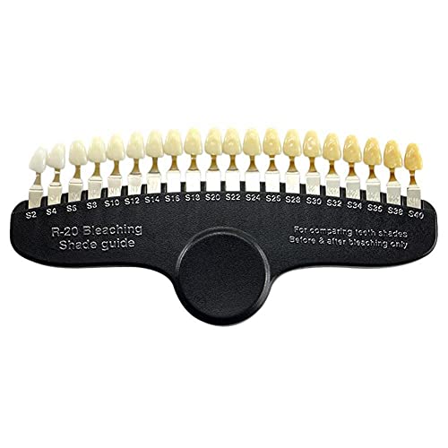 The 25 Best Dental Shade Guides of 2024 [Verified] Cherry Picks