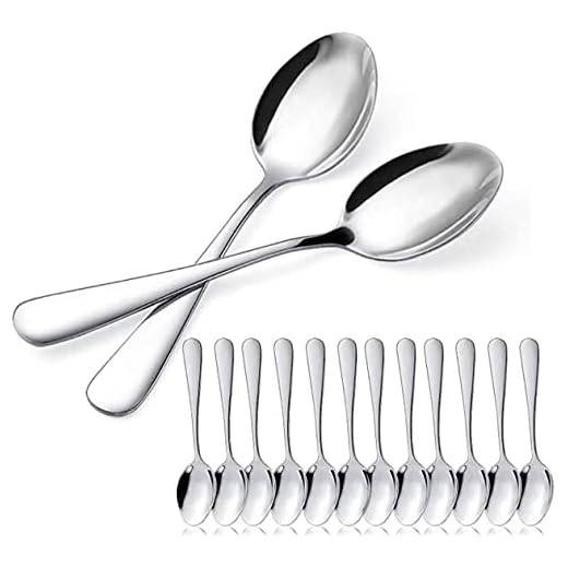 BESCH 12 Cucharas de Postre Acero Inoxidable 15 x 3.2 cm(Cucharas de Postre)