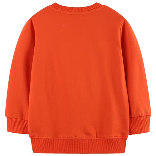 Image of AIWUHE Toddler Cotton Sweatshirt Boys Girls Pullover Long Sleeve Tops 2-6Y | Tops Blouse, Cotton T-Shirt, Fall Winter Clothes