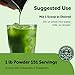 Micro Ingredients Organic Matcha Green Tea Powder, First Harvest, Culinary Grade from Japan, 100% Pure & Unflavored, Great for Tea, Latte, & Smoothies, Non-GMO, No Sugar, Eco-Friendly Packaging, 1 Lb