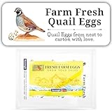 Havongki 120 Quial Egg Carton Labels Stickers | White | Farm Fresh Eggs | 4 6 12 15 18 30 48 50 Count - Basket Box Container Extra Organizer Farm Supplies, 66mm x 26mm