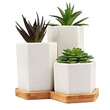 BELLE VOUS Macetas de Ceramica (Set de 3) - Blancas Forma Hexagonal Mini Jardín Flores con Agujero Drenaje et Bandeja Bambú - Maceta Suculentas Pequeñas para Decoración Oficina, Escritorio, Mesa