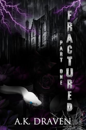 Fractured: Dark Why Choose Hitmen / Hitwoman romance (The Order Duet Book 1)