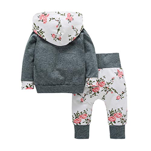 Minkidfashion Baby Girls Clothing Sets Flowers Long Sleeve Hoodie Tops Pants Outfit (Gray, 0-6 Months) #TOP1