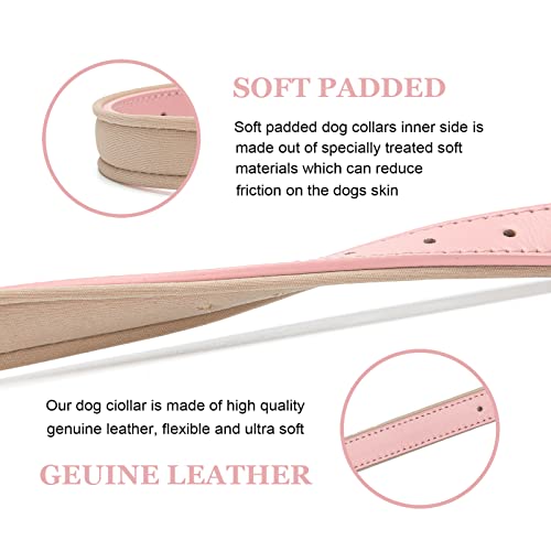Tanpie Leather Dog Collar for Small Medium Large Dogs Soft Waterproof Padded Puppy Collars — view 2