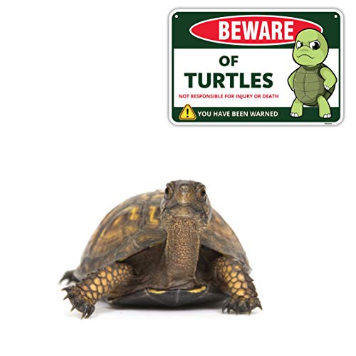 Venicor Turtle Sign Decor - 8 X 12 Inches - Aluminum - Turtle Gifts For Turtle Lovers Women - Pet Turtle Tank Aquarium Accessories Habitat Decorations Stuff #TOP5