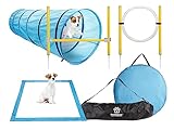PROFI HUNDE AGILITY SET - Mit unserem Hunde Agility Set erhältst Du einen langen Hundetunnel, eine Pause Box, 10 steckbare Slalomstangen, Zubehör zum Befestigen von Querstreben und einen Sprungreifen.