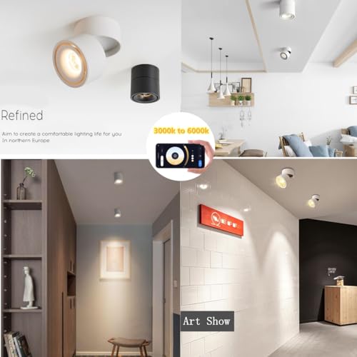 Image of LED 3CCT Dimmable Ceiling Spotlight Indoor 360Adjustable -Tuya Smart Life Surface Mounted 12W COB Directional Art Lighting-Hard Wired Ceiling Downlight for Mural Display Home Shop (White)