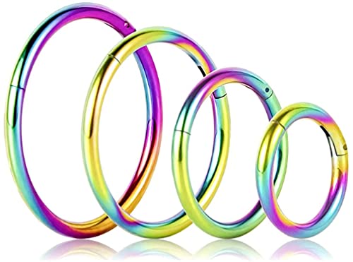 4Pcs 16G 18G SurgicalSteelPiercingRingNoseRingsHingedHoopEarrings,6mm 8mm 10mm 12mm Seamless Stainless Steel Clicker Eyebrow Septum Piercing Hoop,Sliver Black Gold Rose Gold Rainbow Body