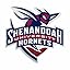 Shenandoah Hornets Primary