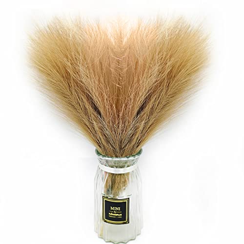 Pampasgras getrocknete Blumen für Vase 3 Stiele 45cm große Federn künstliches Pampasgras Dekor für Boho Home Decor Blumenarrangements dänische Dekoration Cover