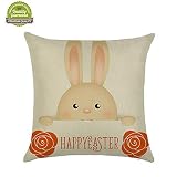 - Esta funda de cojín tiene una cremallera invisible y todas las costuras se han overlocked por lo que es fácil de lavar.---?pascualina decorar rellenar plastico grande moldes chocolates manualidades gigantes yogur calcio conejitos palma pintura cesta regalo bebe decoracion lindt adornos milka pascualas isla yogures ?