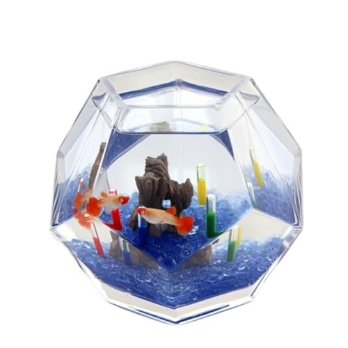 【Quirix】おしゃれなガラス製多面体アイデアデスクトップ水槽金魚鉢苔水耕用室内花瓶めだか水槽飼育セット (トランペット多面体Jコース)