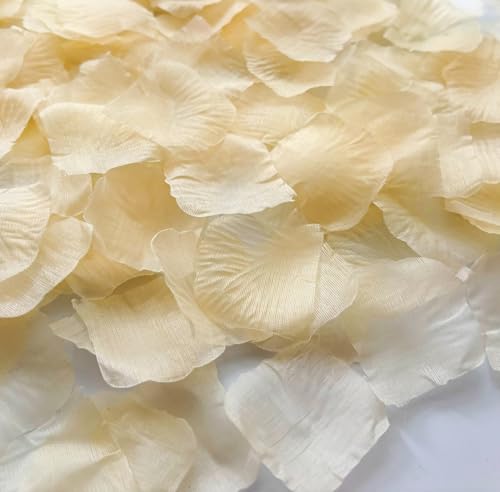 Cynamorkit 1000 PCS Champagne Silk Rose Petals