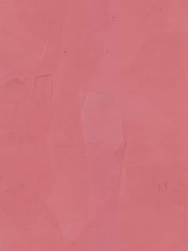 LITHOS Venetian Plaster (Plaster, 1 Gallon)