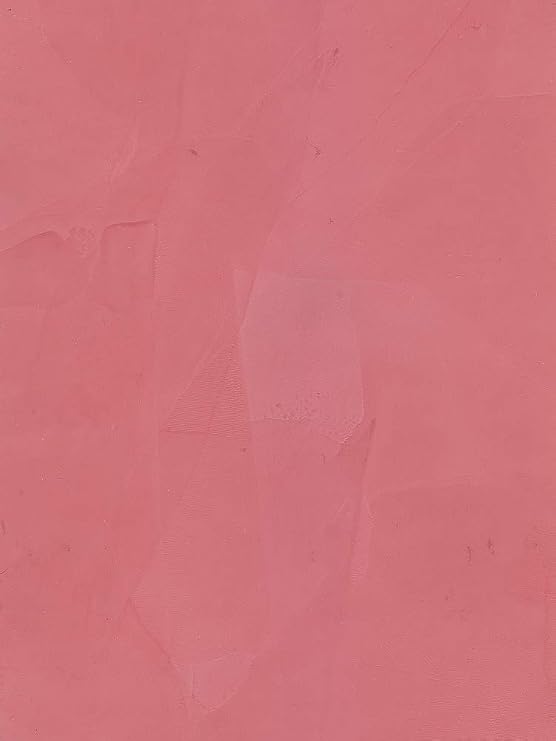 LITHOS Venetian Plaster (Plaster, 1 Gallon)