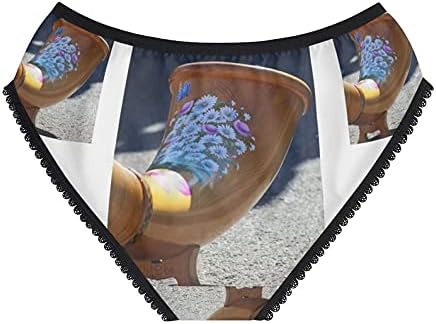 Swiss Alp Horn Panties, Swiss Alp Horn Underwear, Briefs, Cotton Briefs, Funny Underwear, Panties For Women