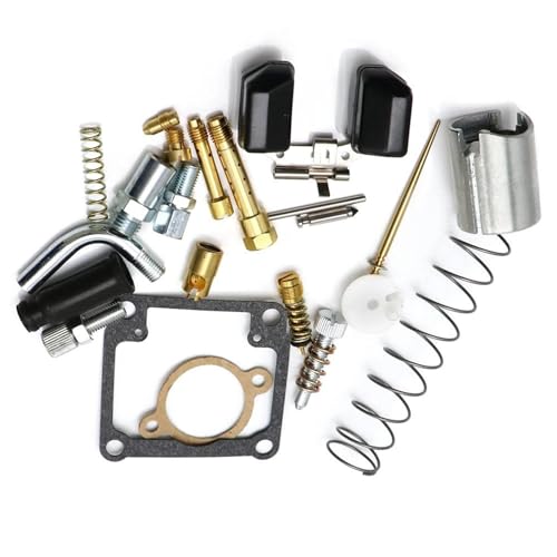 Kit réparation carburateur PHBG résout fuite essence et ralenti instable moto Dellorto