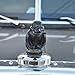 Angry Rubber Duck Hood Ornament, Cute Stuff for Car Decorations (Silver)