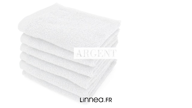 Superbe serviette d'invité en lin à liteaux,monogramme JR. - Dans de