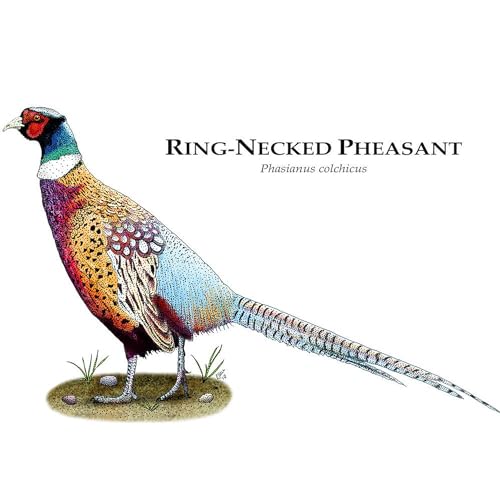CafePress-Ring-Necked-Pheasant-Mug-11-oz-325-ml-Ceramic-Coffee-Mug CafePress Ring Necked Pheasant Mug 11 oz 325 ml Ceramic Coffee Mug