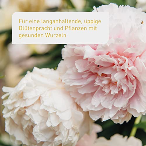 Plantura Bio Blumendünger mit 3 Monaten Langzeitwirkung 1,5 kg