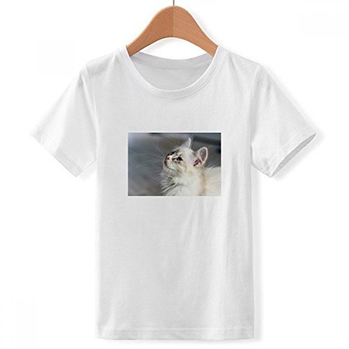T-shirt blanc ras du cou imprimé chat mignon DIYthinker taille XL pour garçon
