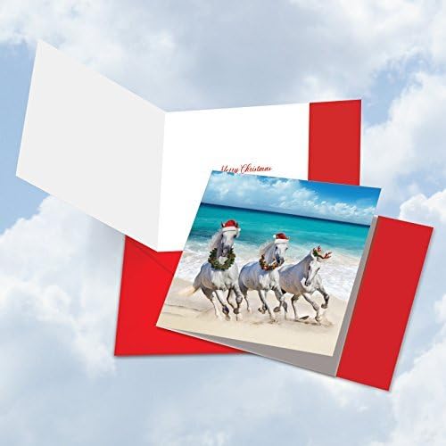 Gallops and Greetings - Box Set of 12 Merry Christmas Greeting Card with Envelope (4.8 x 6.6 Inch) - Season's Greetings Stationery Notecard - Special Season's Greetings for Friends CQ5074BXSG-B12