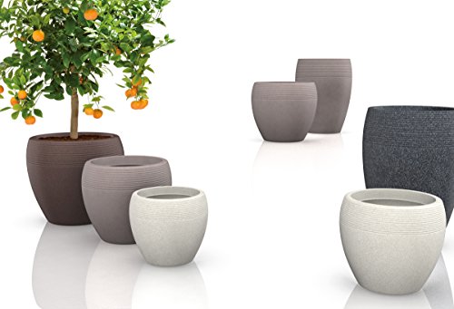 Scheurich Lineo, fioriera in plastica, sabbia