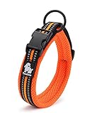 Fashion Shop Best Padded 3M Reflective Outdoor Adventure Dog Collar,Truelove Model - Brand New for 2015! Perfect match Fashion Shop 3M Leash (Orange, M)
