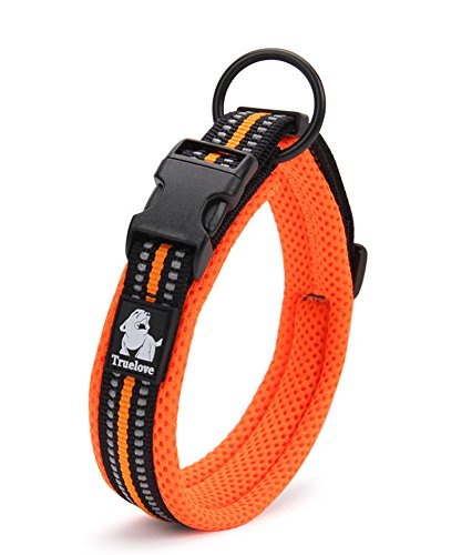 Fashion Shop Best Padded 3M Reflective Outdoor Adventure Dog Collar,Truelove Model for 2015! Perfect Match Fashion Shop 3M Leash