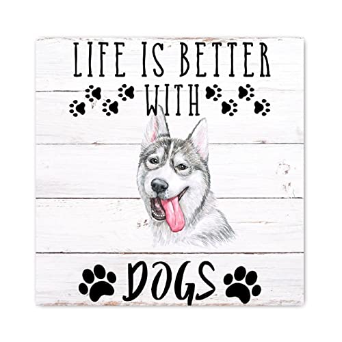 Décoration murale maison avec panneau en bois amusant chien Evans1nism 30,5 cm