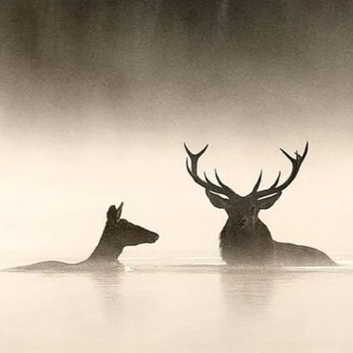 Le chant des for&ecirc;ts, la biche de No&euml;l (critique)