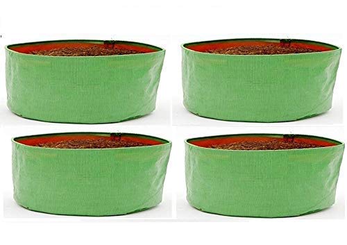 COIR GARDEN Terrace Gardening Hdpe Grow Bags for Vegetable Plants, Spinach (Keerai, Palak Plant Grow Bags) (18"X9" Inches) - [46Cms(L) X 22Cms(H)] - 18X9 Inches, Pack of 4 (B07K3ZJP4Z) Amazon Price History, Amazon Price Tracker