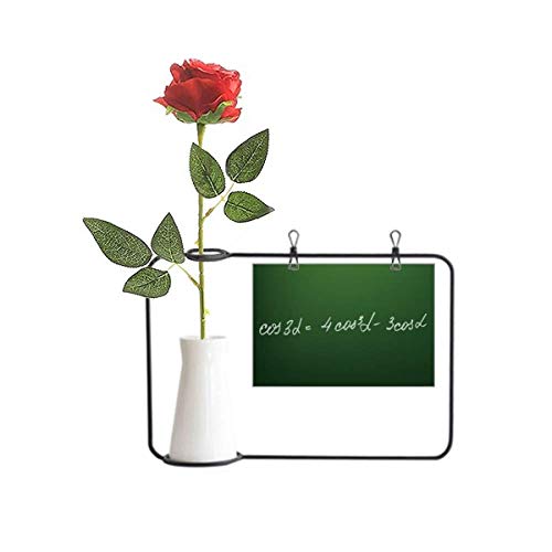 Math knowledge cosine formula sur vase bouteille de fleurs - 2
