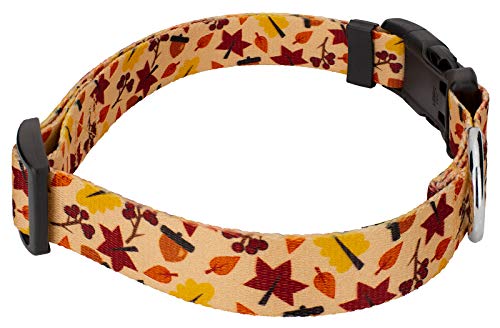 Country Brook Petz - Deluxe Fall Foliage Dog Collar - Made In The U.s.a. - Awesome Autumn Collection With 7 Design You Will Fall For (1/2 Inch, Mini) #TOP2