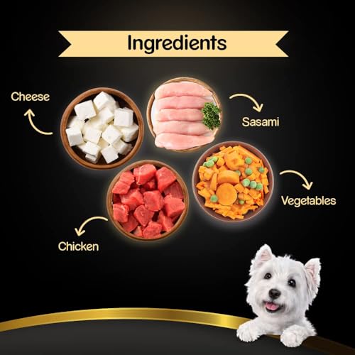 Image of Cesar Premium Adult Wet Dog Food, Sasami with Cheese & Vegetables in Jelly, 70gm