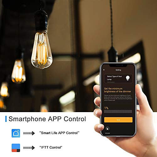 Smart Outdoor Dimmer, Wifi Plug-In Light Dimmer Switch For Led String Light, Wireless Remote Control Dimming-350W, Outdoor Plug Works With Alexa Google Home, Ip44 Waterproof/Timer By Smartphone #TOP2