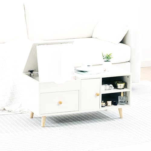 Dowinx hbT[ RpNg hbT[e[u [e[u TCY ot [R  l炵 ȃXy[X ϑ  LS-66V1A-01-PL