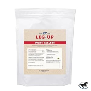 SmartPak Leg Up Joint Pellets | Joint Support Supplement for Horses | Glucosamine Chondroitin Sulfate and Antioxidants Formula with No Added Sugar | Ideal for Light Work Horses, 2 lb Bag