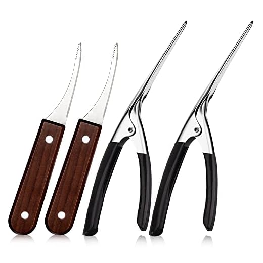 4 PCS Shrimp Deveiner Tool and Peeler, Stainless Steel Shrimp Peeler and Shrimp Cleaner Knife, Easy to Use Shrimp Deveiner, Kitchen Tools