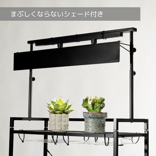 BIBILAB(ビビラボ) ビザールプランツライトスタンド LPS-800-BK の商品画像 4