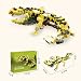 370 PCS Micro Brick Leopard Gecko Building Sets,Reptile Lizard Building Kit, Animals Botanical Collection Model for Adult Toys,Home Decor and Office Art Creative Gift,for Teens Ages 6+ Kids